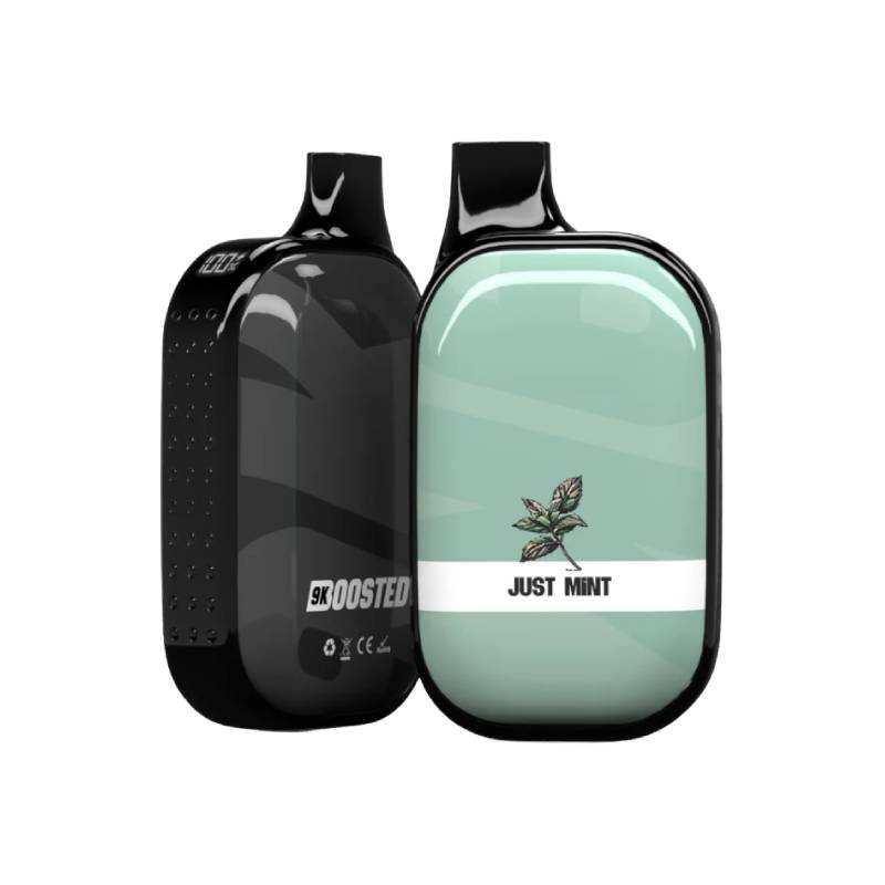 Boosted 9K Disposable Vape - Just Mint, 18ML